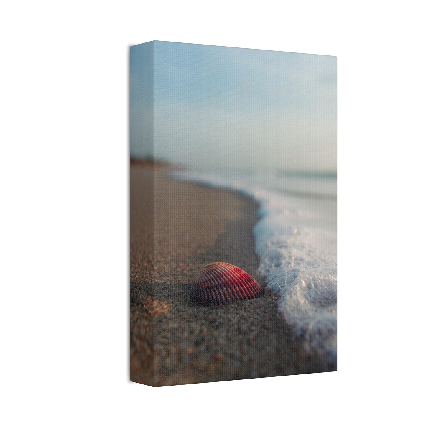 Canvas Stretched, Wall Art, Seashells by the Seashore