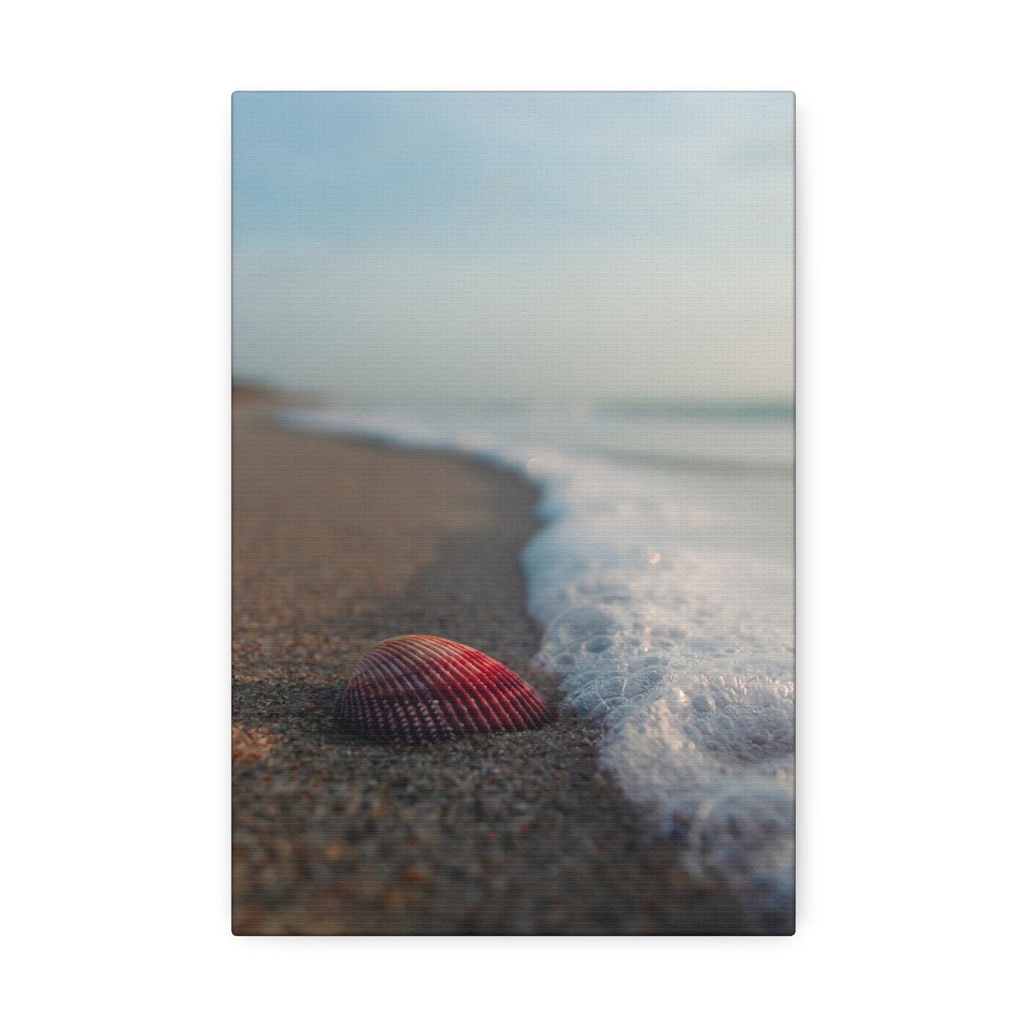 Canvas Stretched, Wall Art, Seashells by the Seashore